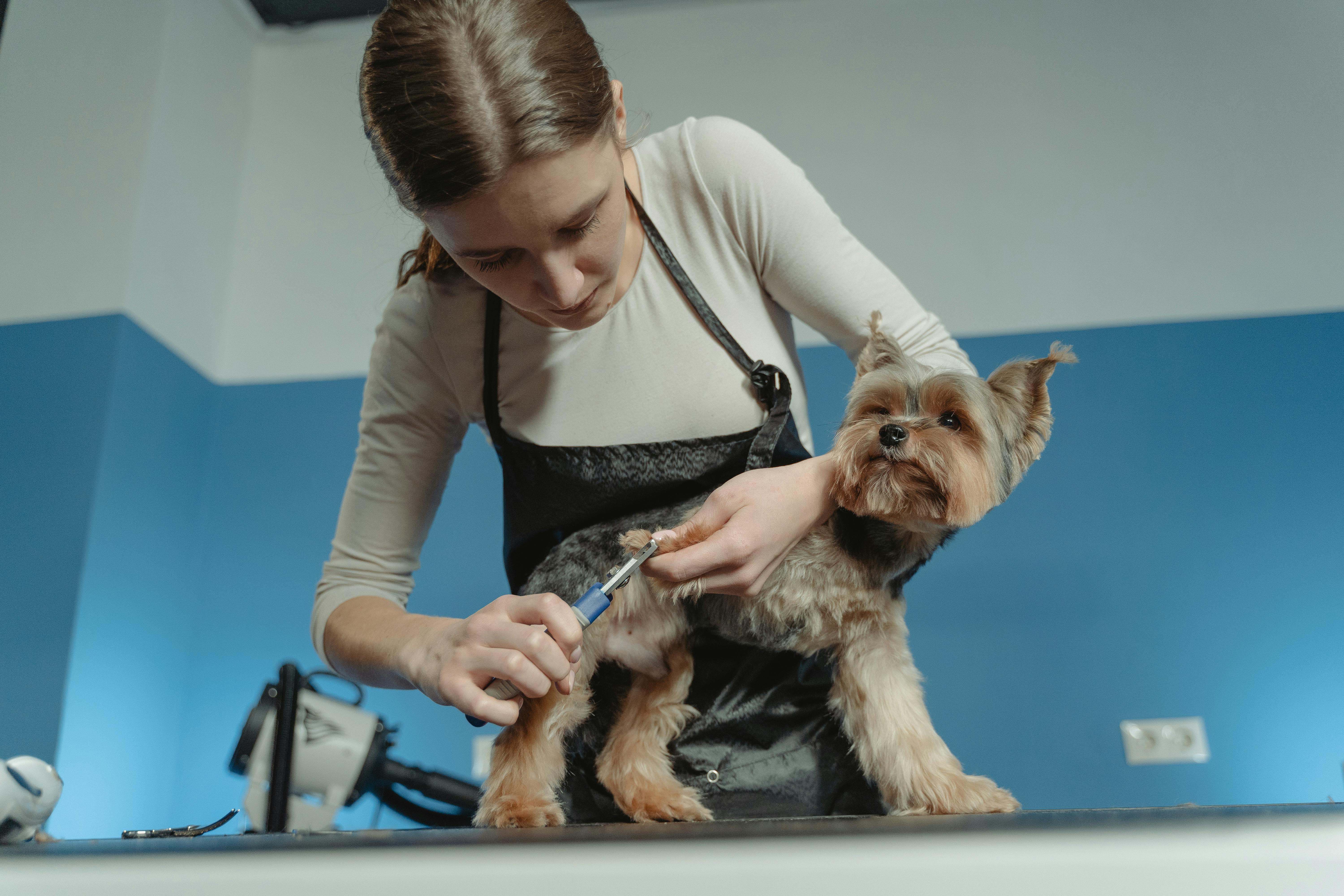 young women gently trimming a puppy's claws